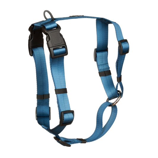 Anchor Dog Harness