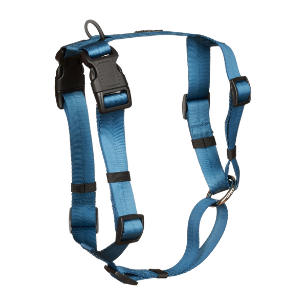 Anchor Dog Harness