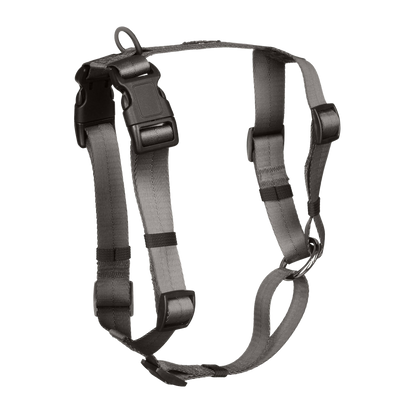 Anchor Dog Harness