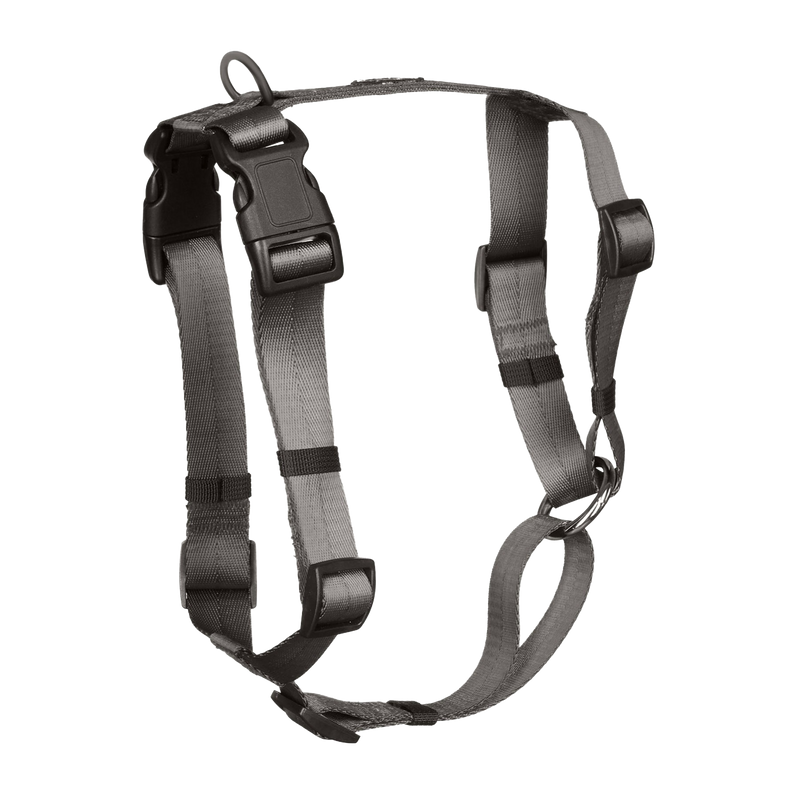 Anchor Dog Harness