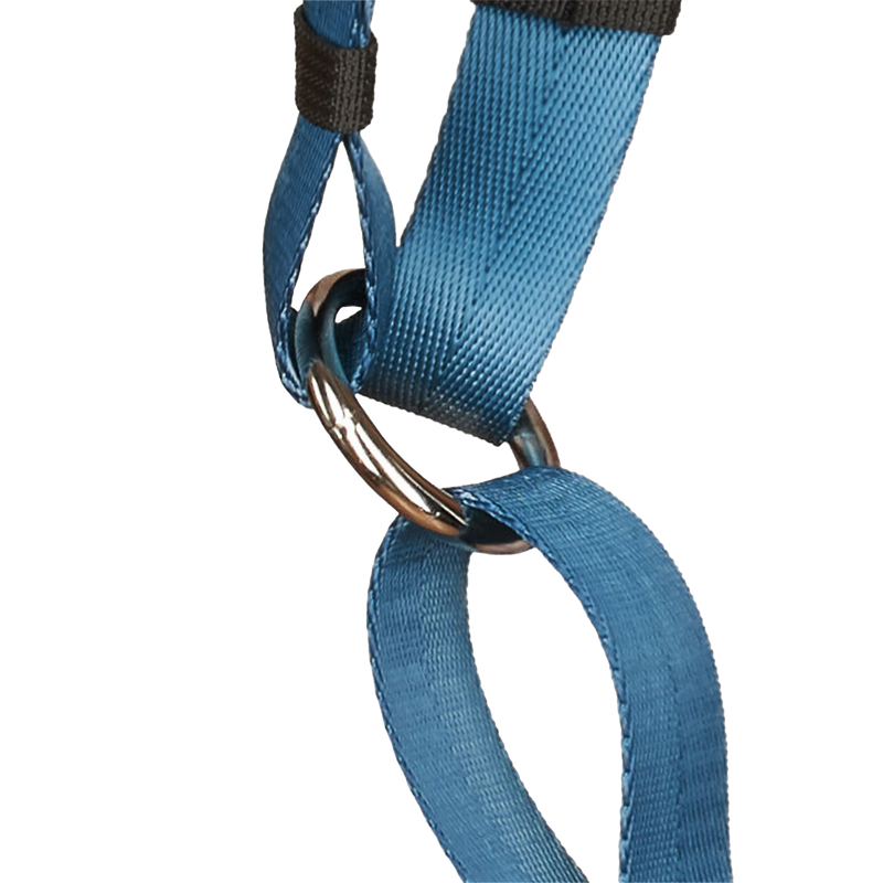Anchor Dog Harness