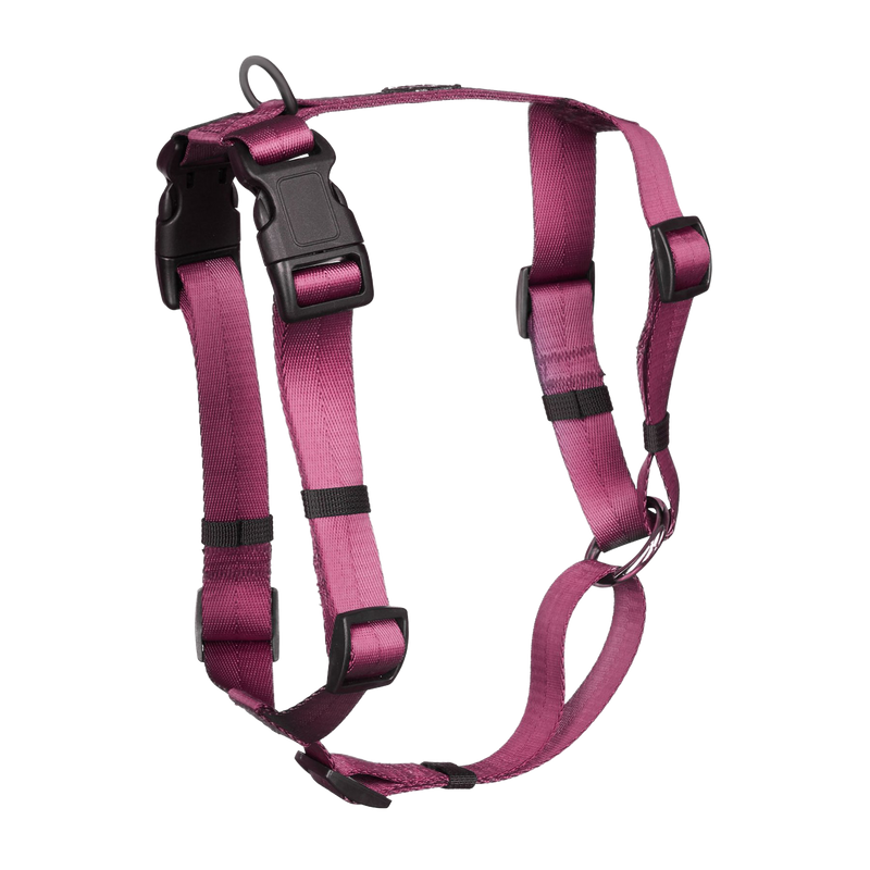 Anchor Dog Harness