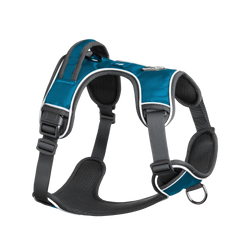 Mesa Harness
