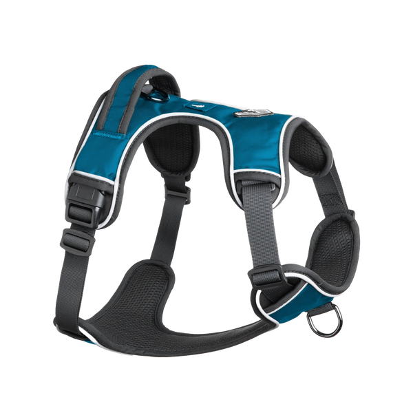 Mesa Harness