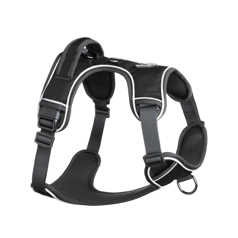 Mesa Harness