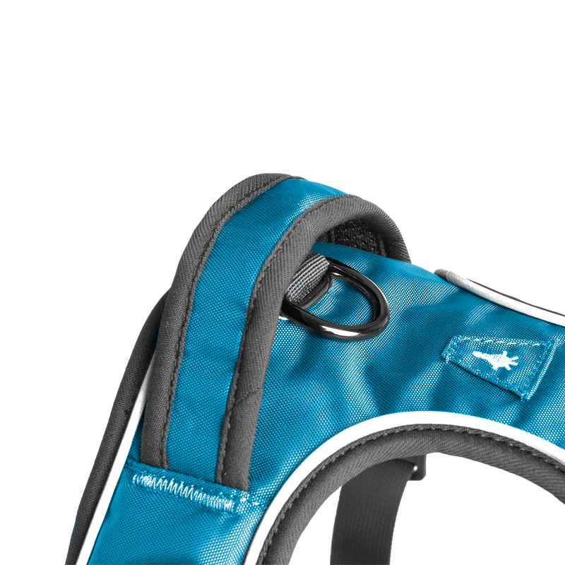 Mesa Harness