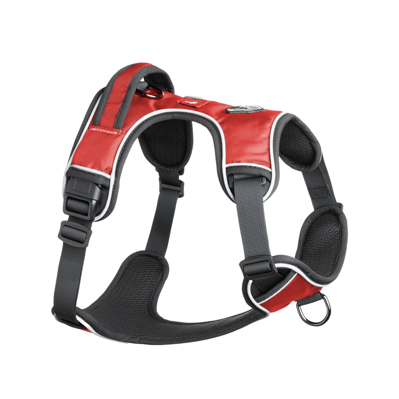 Mesa Harness