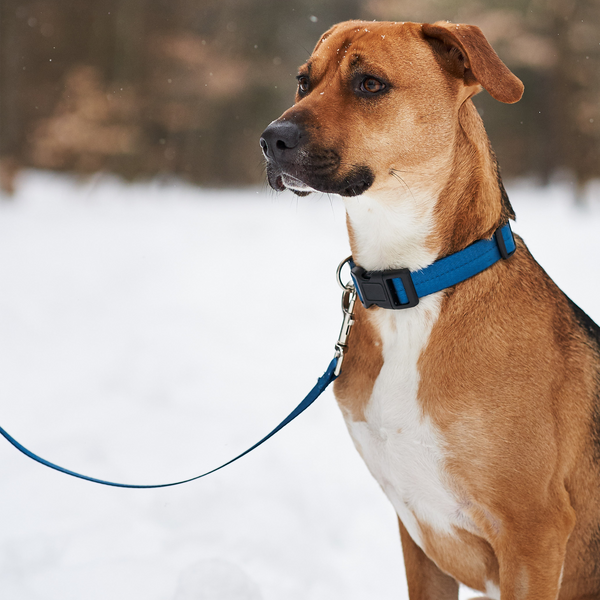 Peak Leash