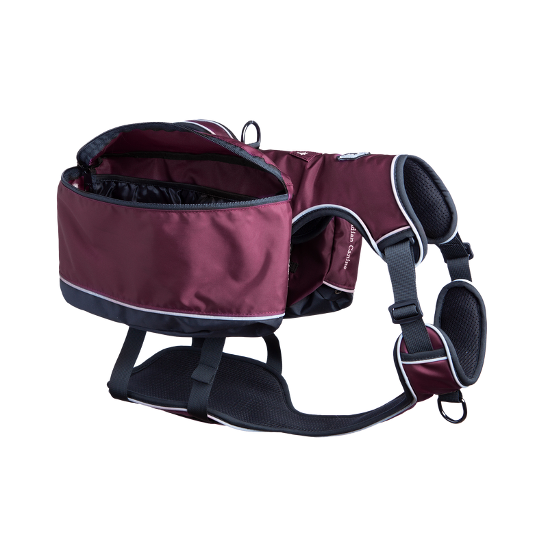 Traverse Day Pack