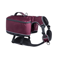 Traverse Day Pack