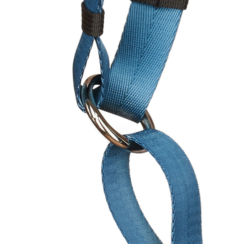 Anchor Dog Harness - O-Ring