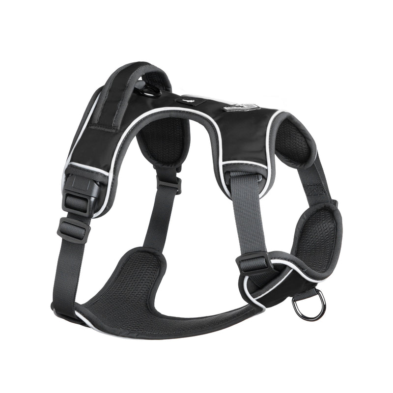 Mesa Dog Harness - Black