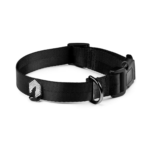 Breaker Dog Collar - Black
