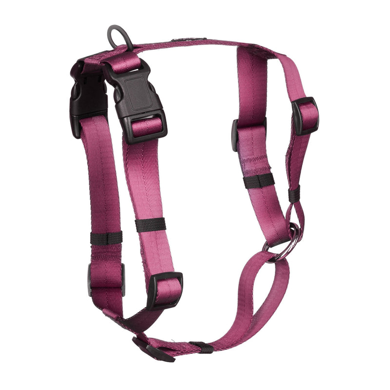 Anchor Dog Harness - Canadian Canine Gear